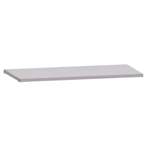 Shelf L1006 plain (WxDxH) 1000x350x25mm 80kg R9007