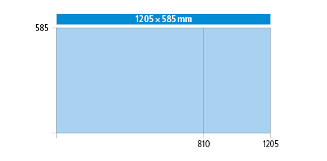 1205 x 585